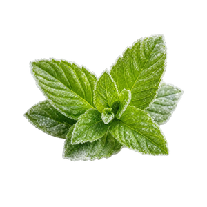 Menthol